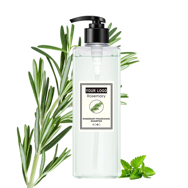 Own brand rosemary moisturizing shampoo long-lasting fragrance mint anti-dandruff anti-itch refreshing oil-control shampoo