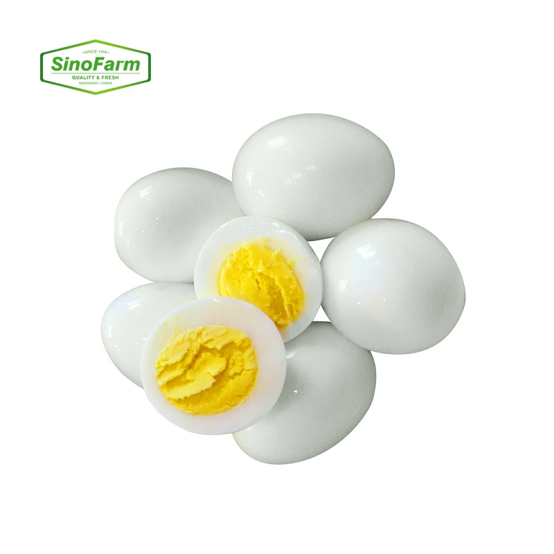 Quail egg feeding factory supply canned food of 425g 850g 3kg salted quail eggs canned quail egg in brine water export for sale
