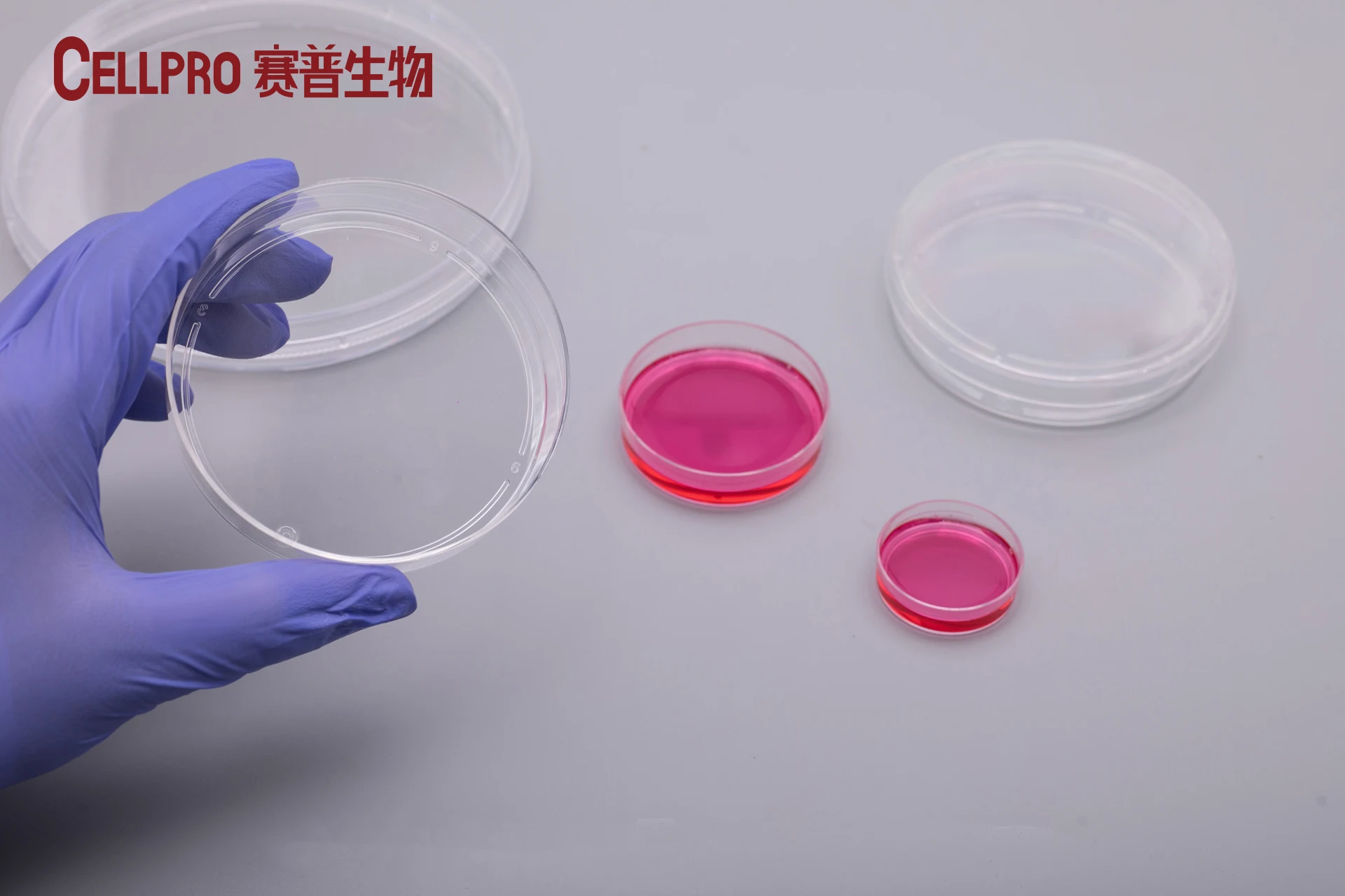 Sterile Plastic Lab Use Surface Adherent Tissue Cell Culture Petri Dish