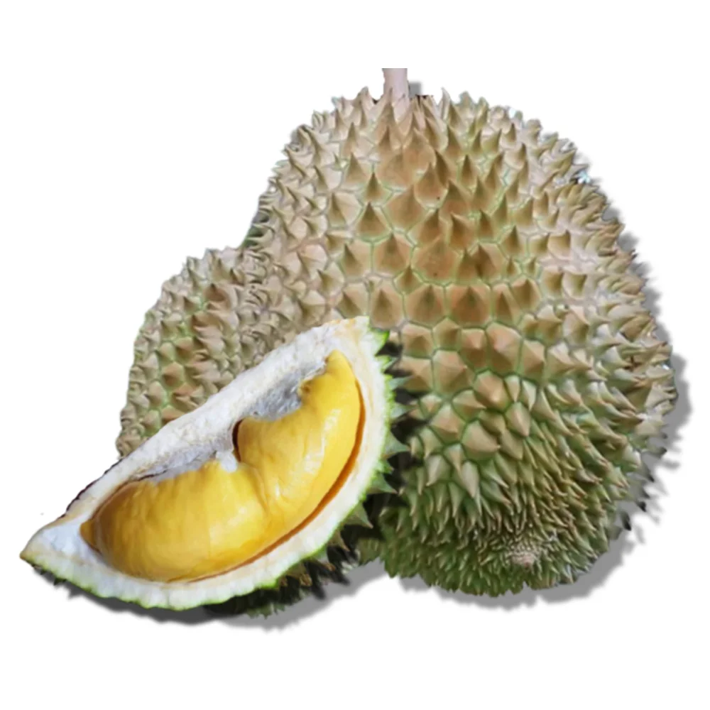 
Top Selling and Premium Grade 100% Natural Sweet and Fresh from Thailand Frozen Durian 