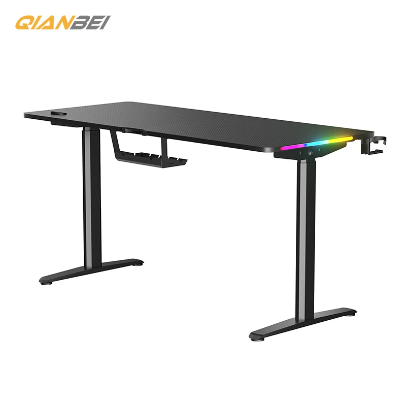 Ergonomic Electric Stand Up Desk Workstation, Height Adjustable Frame Home Office Computer Standing Table