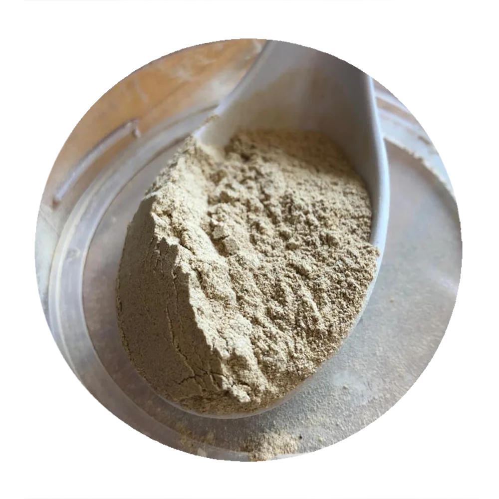 
Longevity secret Japanese dry mushroom extract powder for immune function 