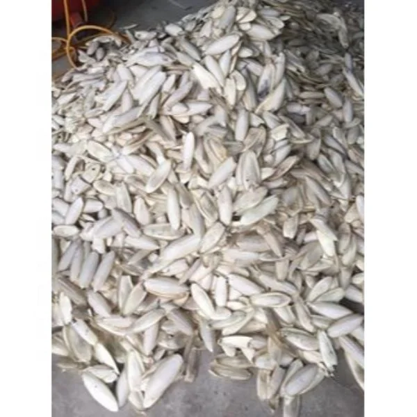 Fresh dried animal feed/cuttlefish bone/calcium bone