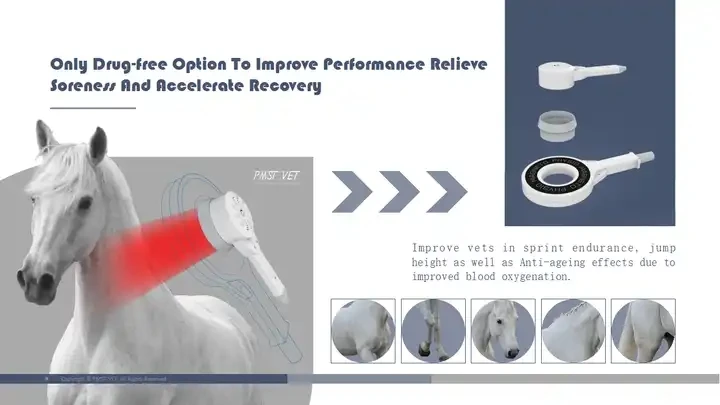 magneto therapy veterinary physio machine physiotherapy pemf  Portable use Massage Machine For Muscle Relaxation Massage fo