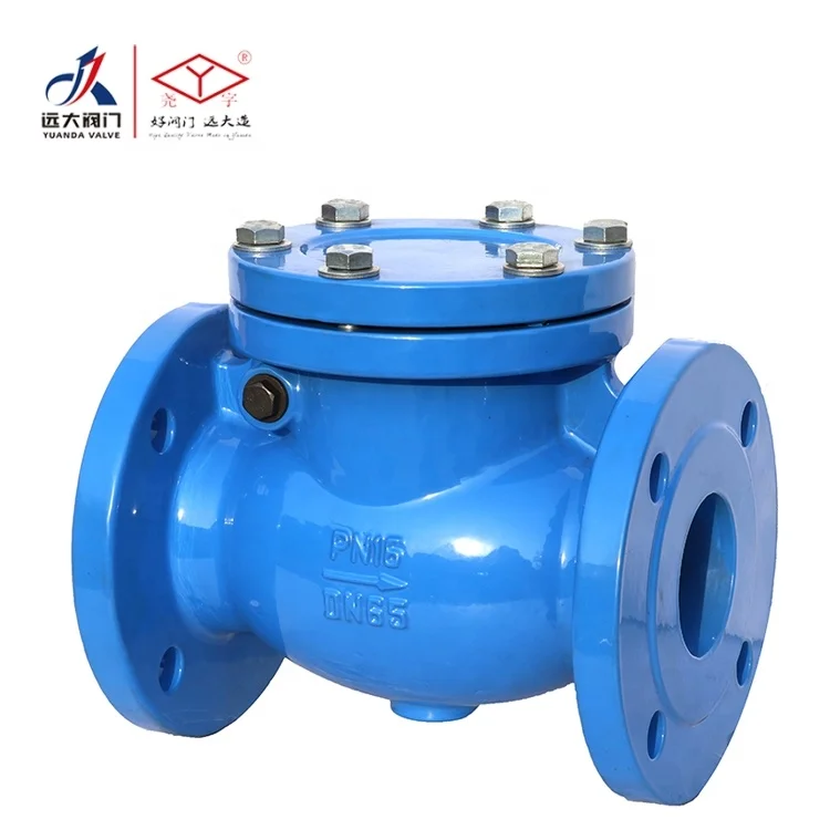 
DIN standard cast iron check valve with good quality China 