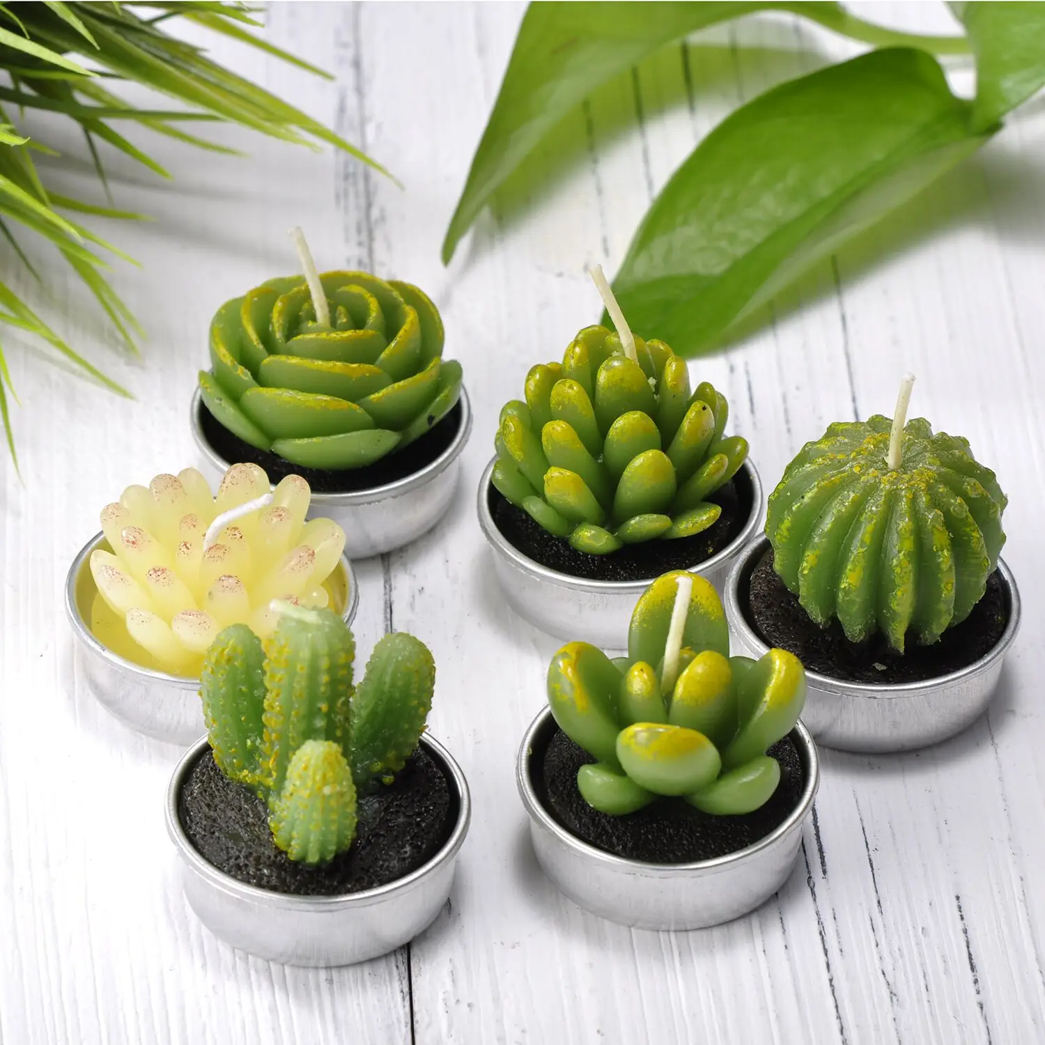 26g Custom Design 6 Pack Set Succulent Green Plants Mini Cactus shaped Carved Candles