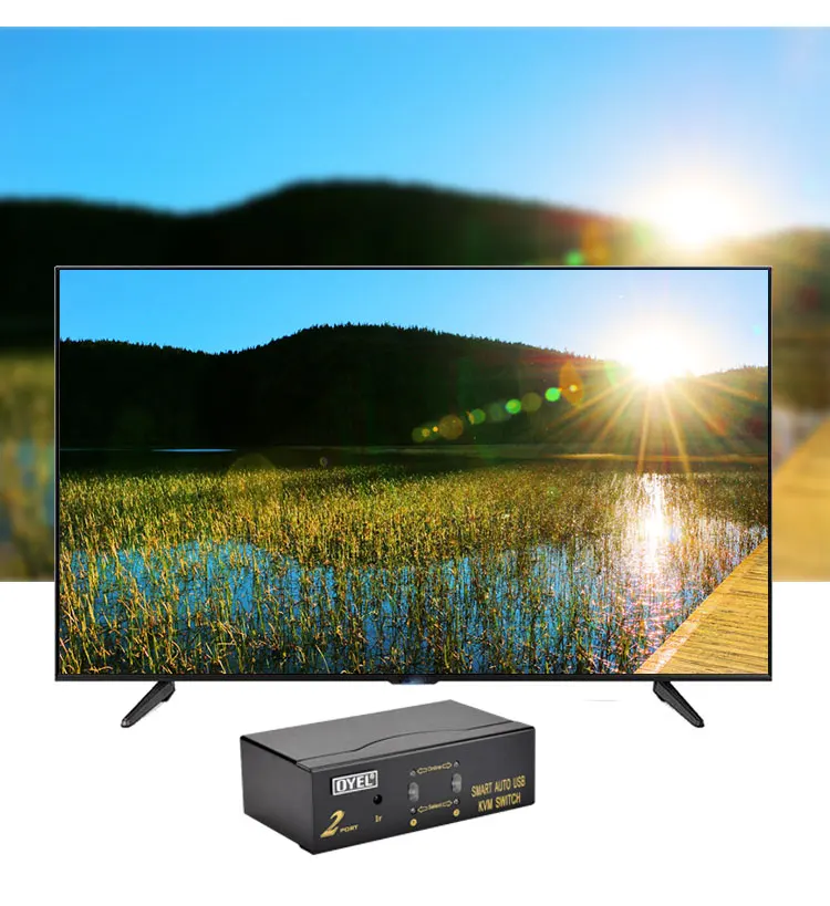 High quality 2 Port USB  VGA KVM Switch with USB Hub for PC or Monitor Switching panel button/hotkey/IR Remote Control Switch