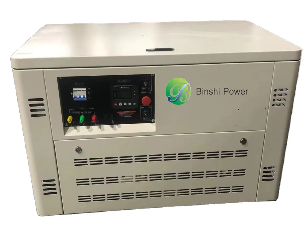 15KW 20KW Dual Fuel Portable Generator Silent type Standby Power LPG Natural Gas Biogas Gasoline Ac Dc Generator