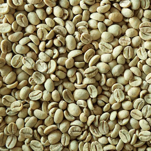 Wholesale Worldwide Shipping 98% Maturity Natural Robusta Green Coffee Beans  From Vietnam With Best Price