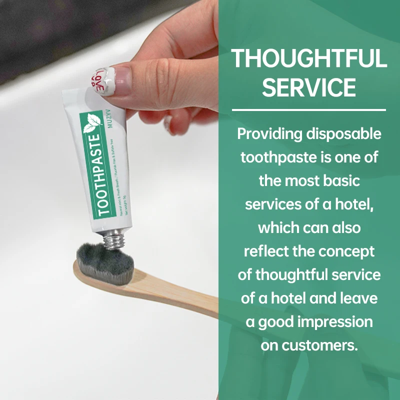 OEM logo 5g mint flavor travel size mini disposable toothpaste for hotel spa