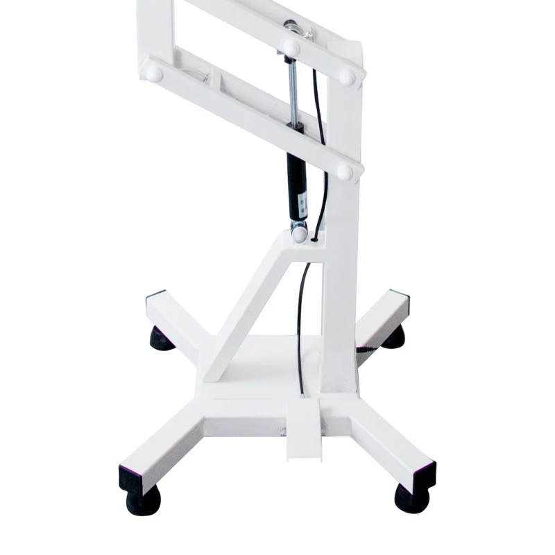 Professional dog grooming table Pneumatic lift pet grooming table with light N-121