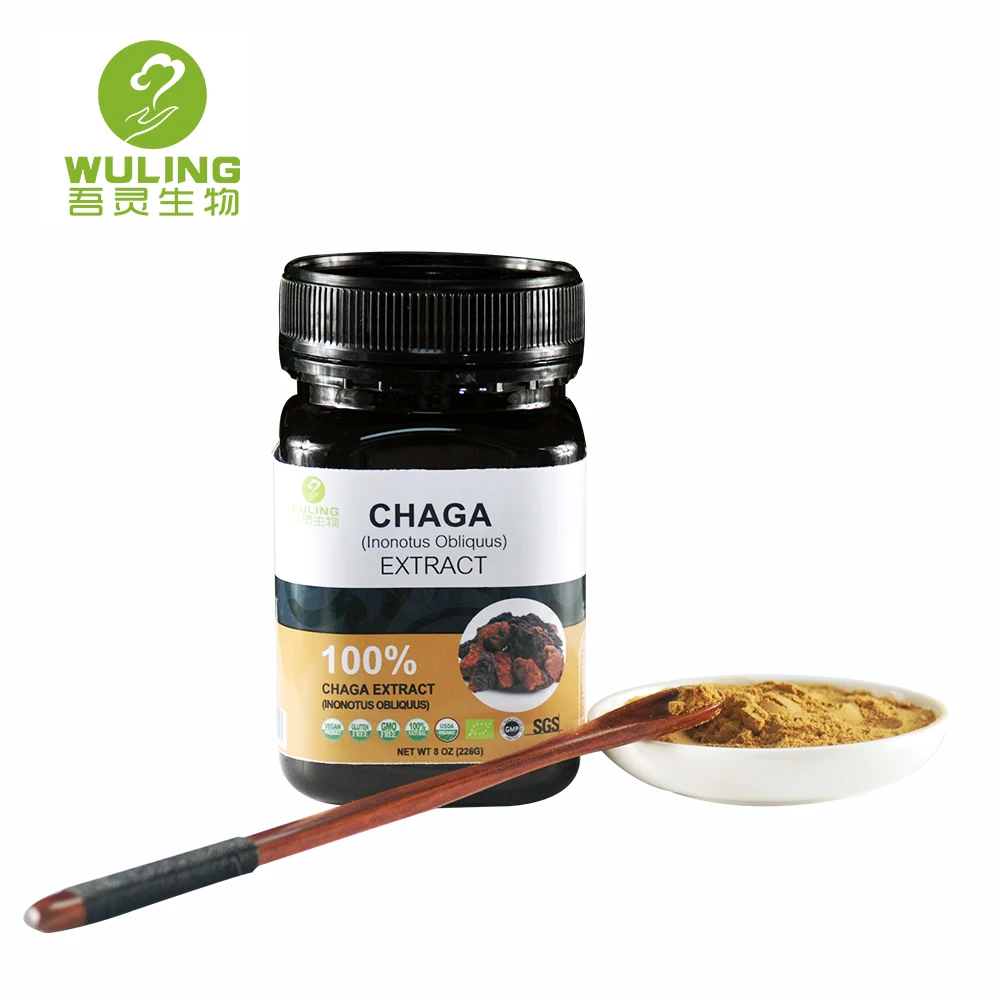 OEM сервис высокое качество травяной экстракт грибов порошок/Chaga Reishi кордицепс и т. д. разнообразные