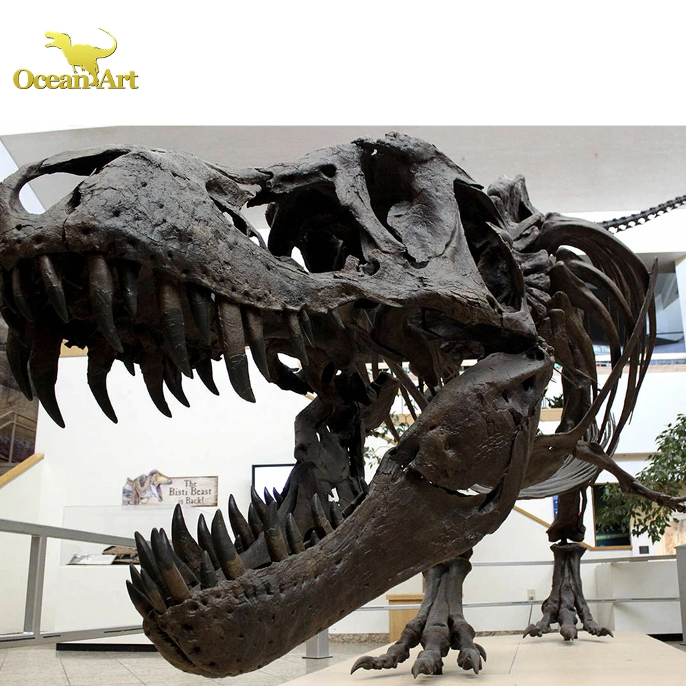 Outdoor Science Museum Exhibits Dinosaur Fossils