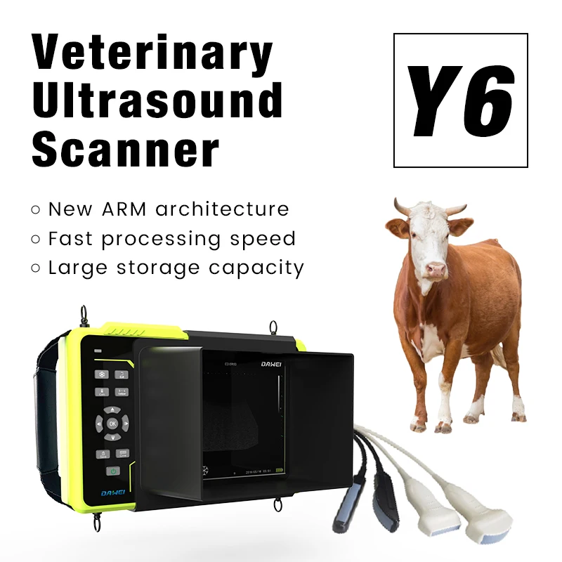 Veterinary Echo Scanner Animal Ultrasound Detection Machine for Cattle