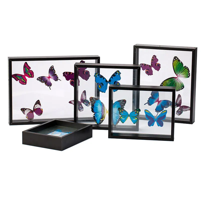 Custom Double Sided Glass 3D Frame foliage Insect Specimen Display float Shadow Box Frame for Home Decor