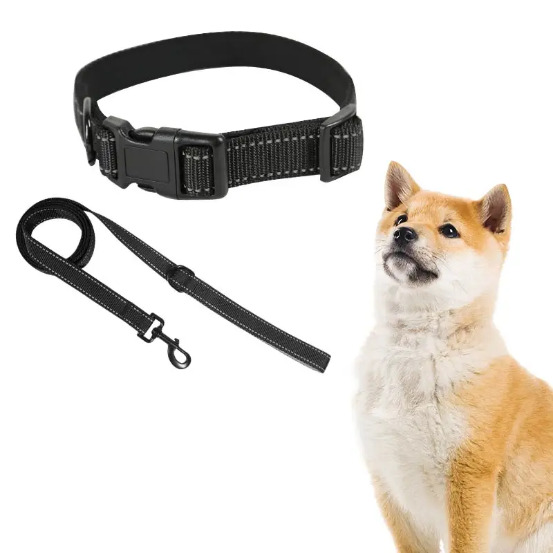 Custom Heavy Duty Reflective Nylon Pet Collar with Leash, Neoprene Pad Skin-friendly Adjustable Dog Collar Leash Set