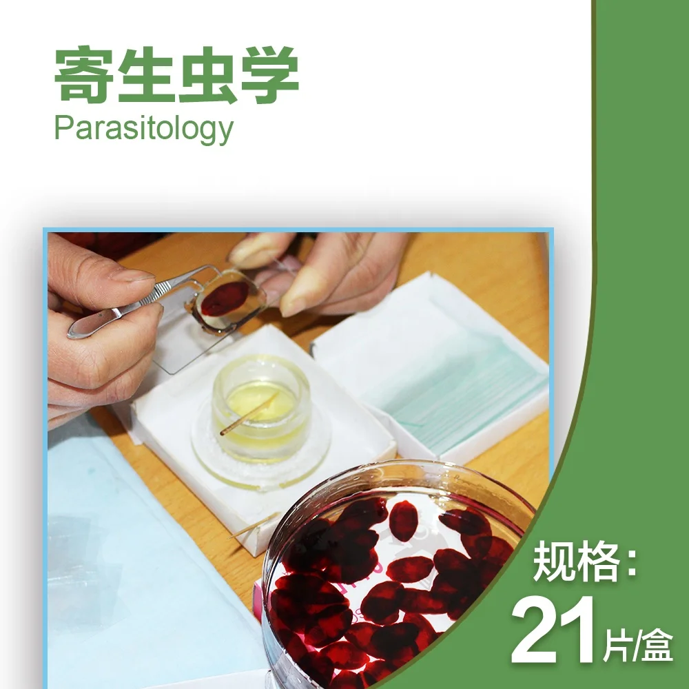 21 pcs for medical school Parasitology slides, Human parasitolgy slides , Biology parasitolgy slides