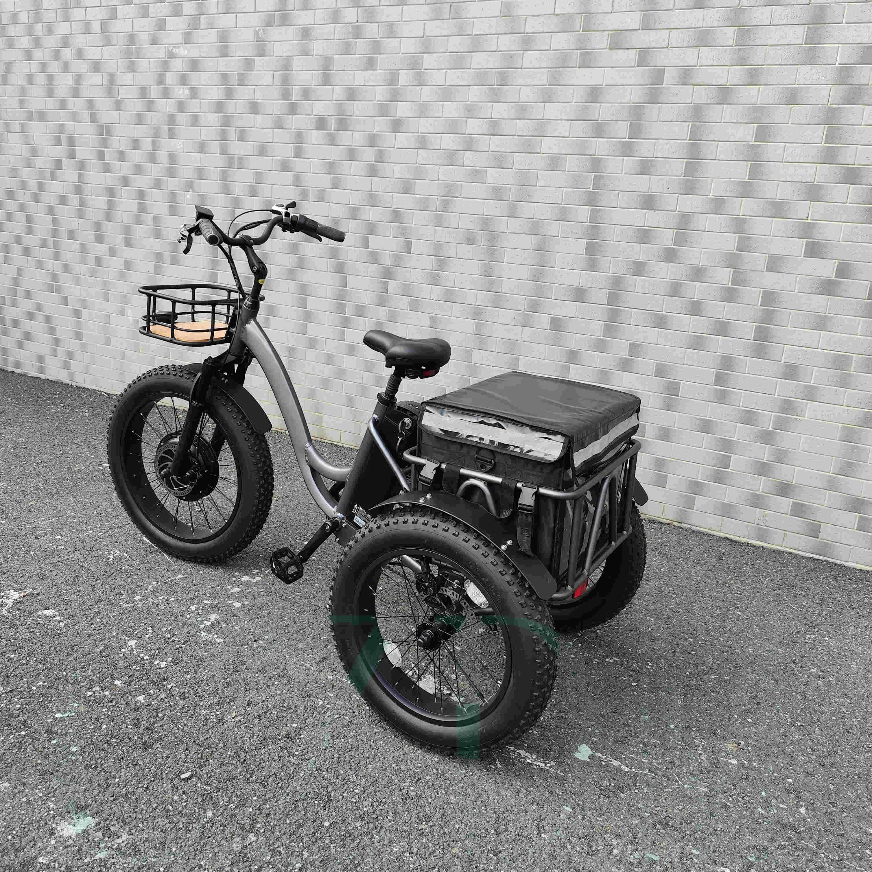 Customized And Comfortable 48V1000W Electric Tri E Tri cycle Tricycle Electric Bike Motorized Tricycles