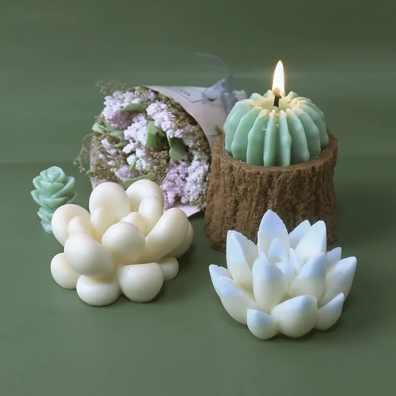 Three-dimensional Fleshy silicone Candle Mold DIY incense candle expansion stone plaster baking cake mold