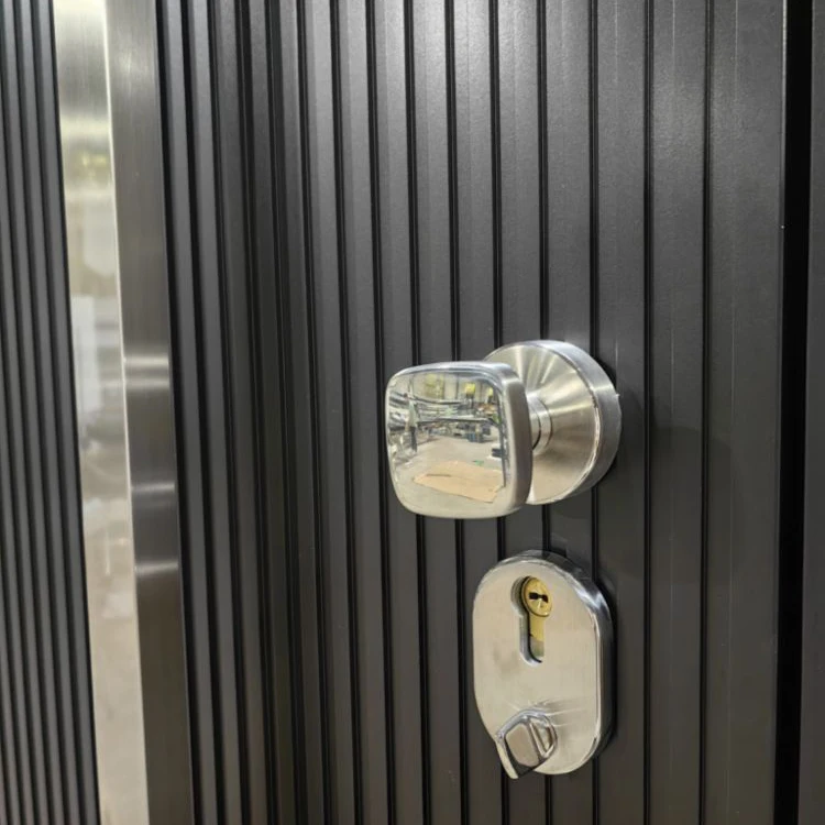 Modern Design Alum Pivot Apartment Entrance Door Anti-theft Front Security Exterior Doors for House Manufacturer Custom Luxury