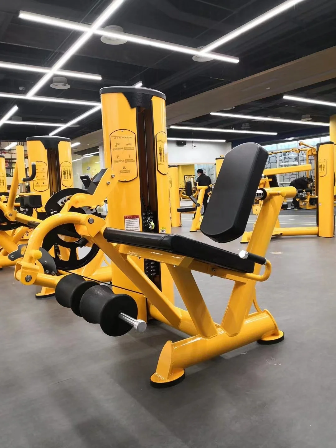 16 Years OEM  Fitness  factory Commercial  use seated Leg Curl  gym equipment  online
