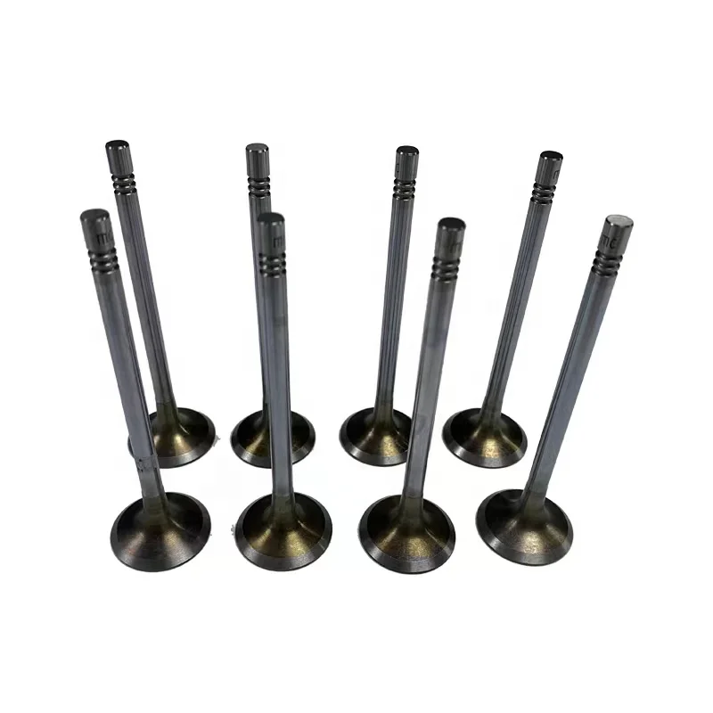 For Territory New Coming Excellent Quality Intake Valve /Exhaust Valve Oem Number JS1-6507-AA/JS1-6505-AA