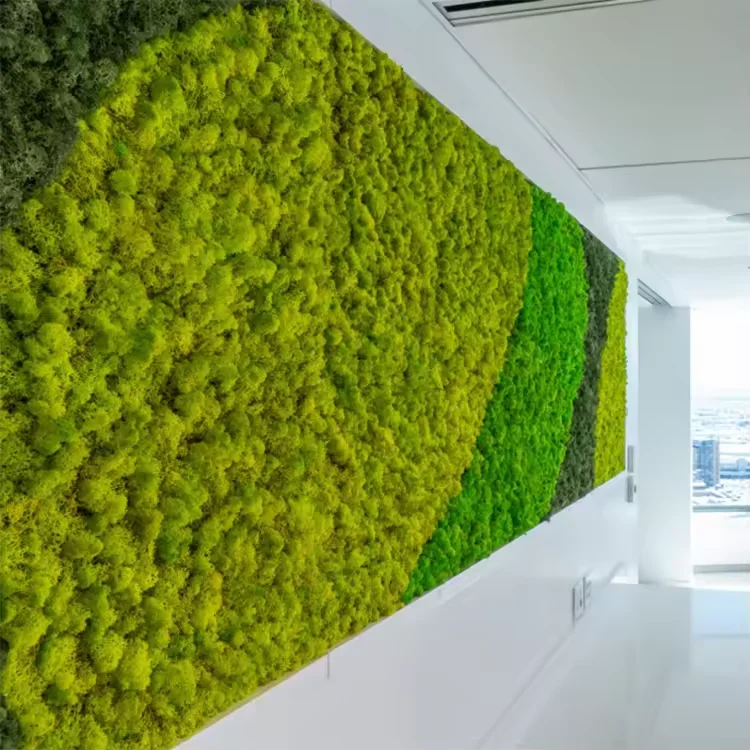 wholesale preserved moss wall preserved lichen moss reindeer real natural preserved moss for DIY home decoration