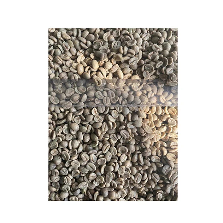 
Best Selling Items High Quality Vietnam Robusta Coffee 15-17mu Raw Coffee Bean 
