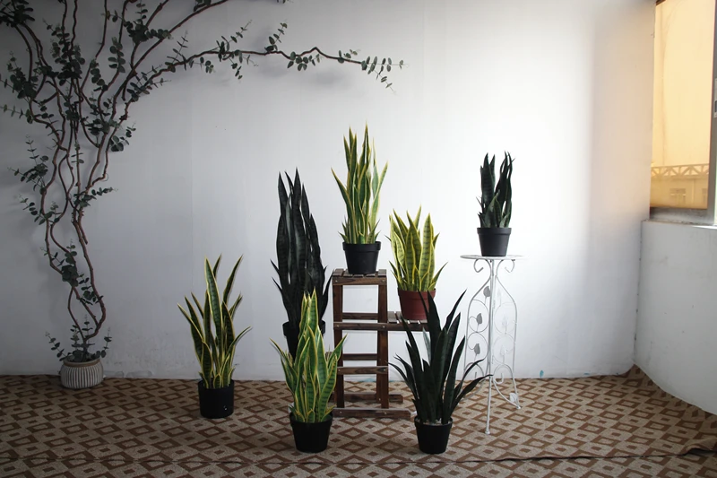 Factory Real Touch Cheap Anti-UV Succulent Plant Home & Garden Decorative Faux Potted Artificial Snake Plant Sansevieria Plant