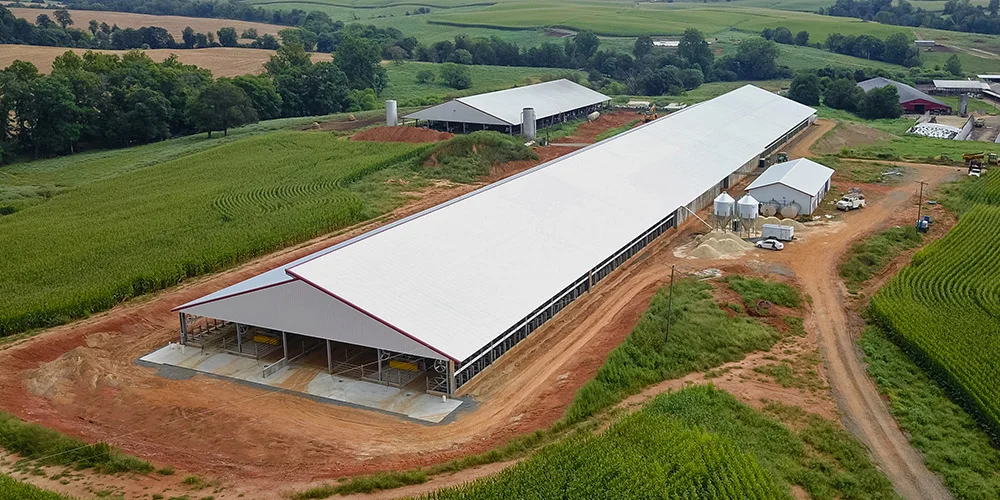 Steel Structure Dairy Cow Shed Farming House Cow Shed Farm Building Cattle Sail Cow Housing