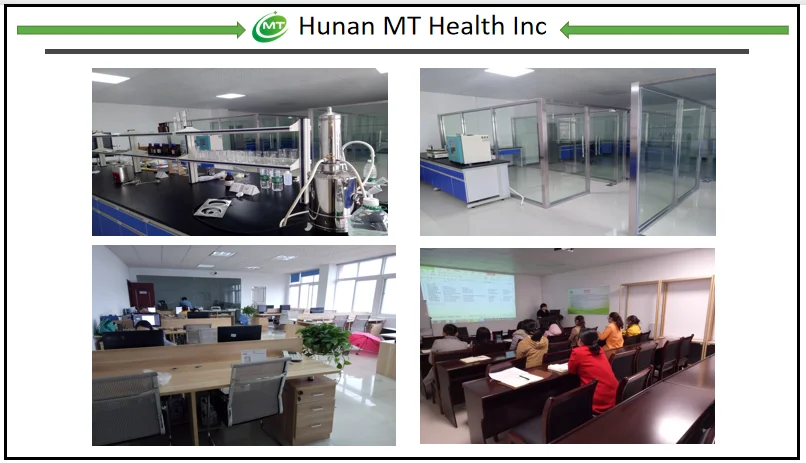 Company MT Health.png