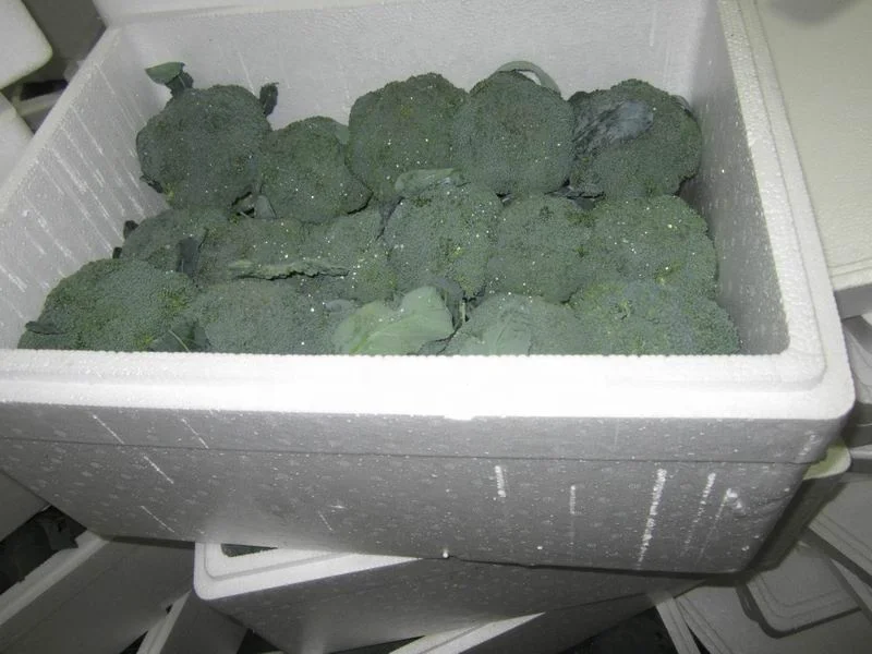 High Quality Vegetable Cauliflower From China Factory for Export