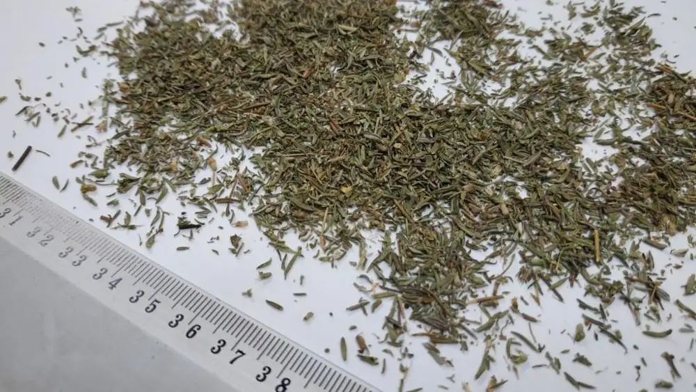 Thyme leaves - Thymus vulgaris - Polish native herbs, spices and vegetables - Manufacturer, Exporter