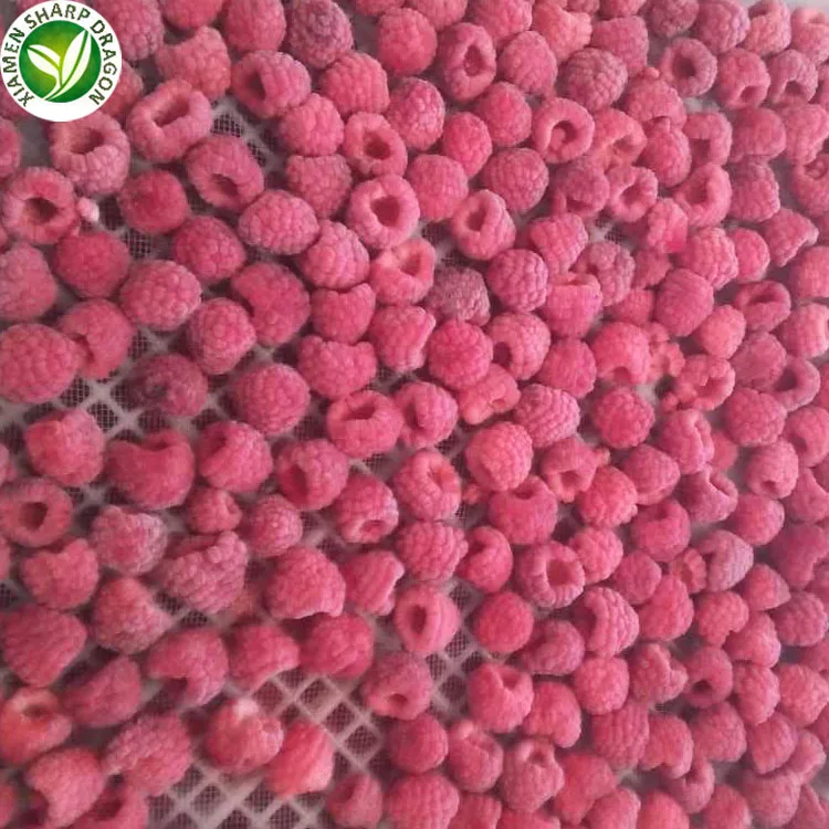 IQF Bulk price red  fruit frozen raspberries in syrup