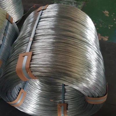 Supply Carbon Steel Wire Rod 3mm 5mm Hot Rolled Q195 SAE1008 High Quality Hot Dip Galvanized Steel Wire