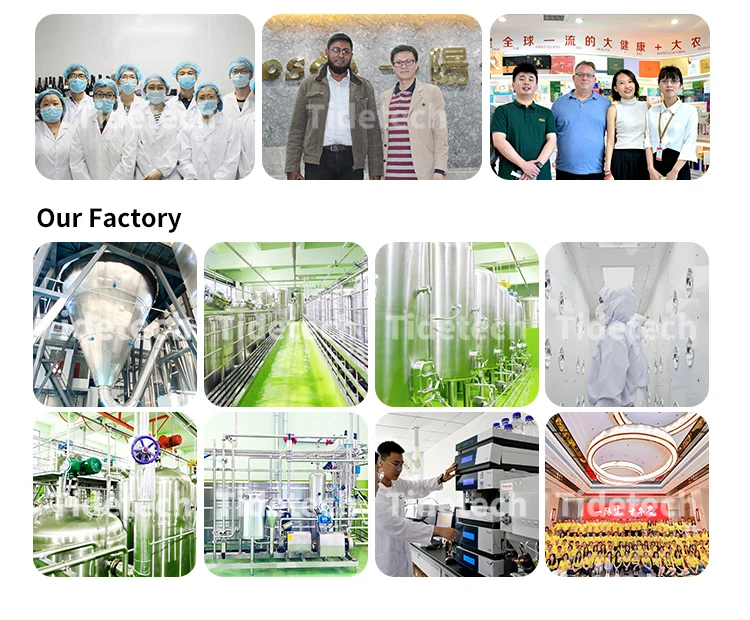 PEPDOO patent Egg Extract protini polypeptide Ovalbumin Peptide albumin polypeptide powder