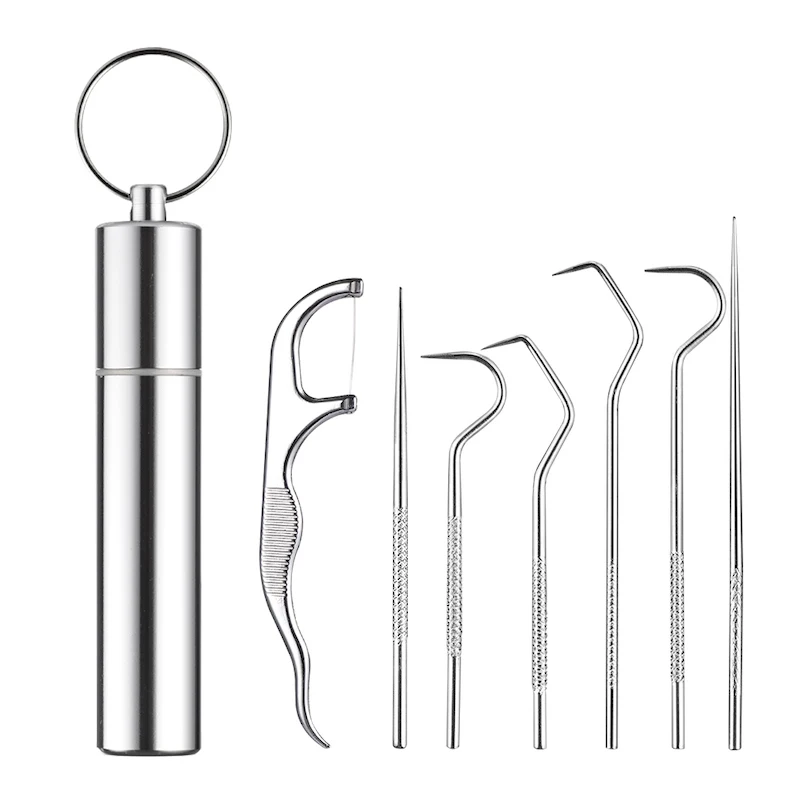 Metal Stainless Steel Oral Cleaning Tooth Flossing Portable Toothpick Floss Teeth Cleaner with Storage Tube