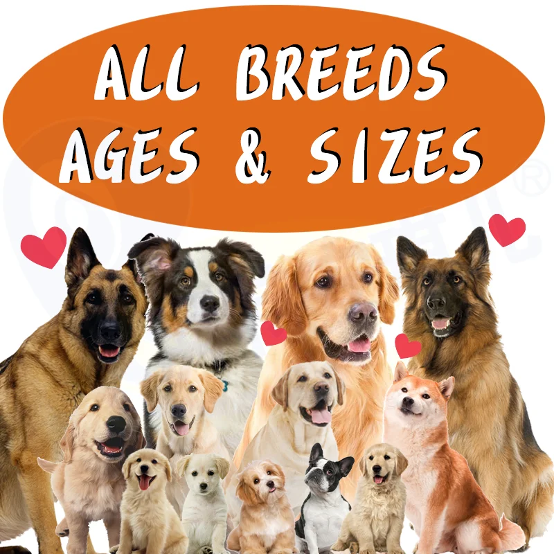 Ancient Elements Pet Supplement Dogs Calming Chews