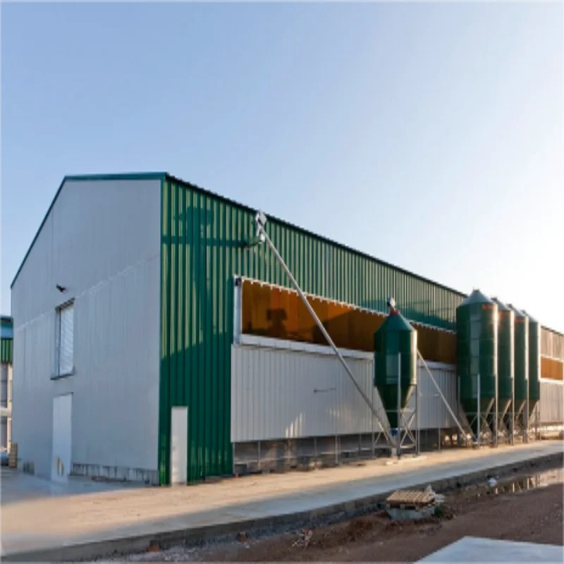 Chicken coop steel structure waterproof dog rabbit coop factory direct sales