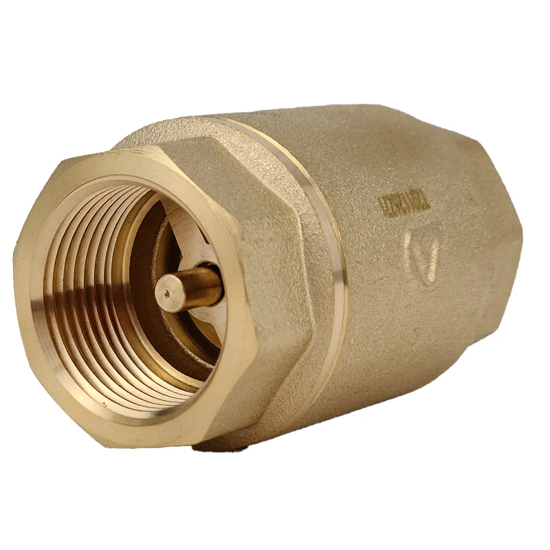 H01 Brass Vertical Check Valve Spring Swing Flap Check Valve Thread Connection