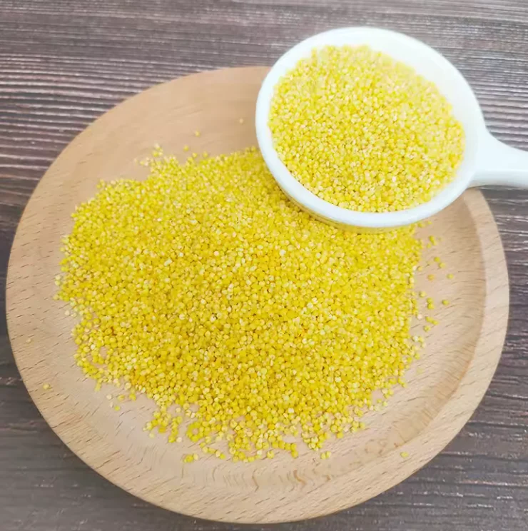 Top Rated Best-Selling new crop yellow millet whole yellow bulk yellow millet