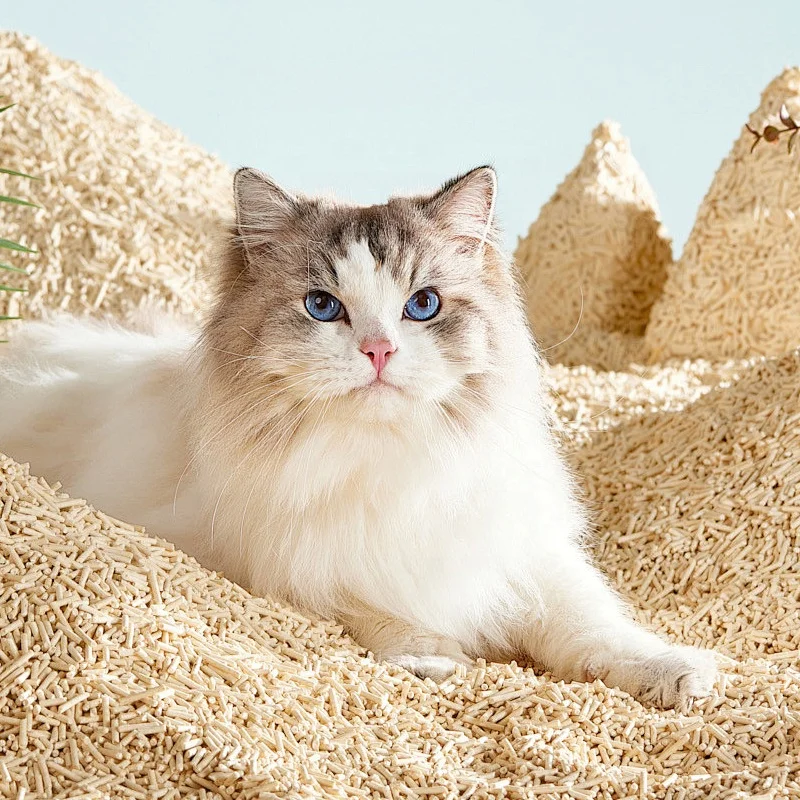 Wholesale Price OEM ODM Cat Litter Sand Strong Clumping Dust-Free Made with Tofu Bentonite 10L Plastic Ball Shape Pet Cleaning