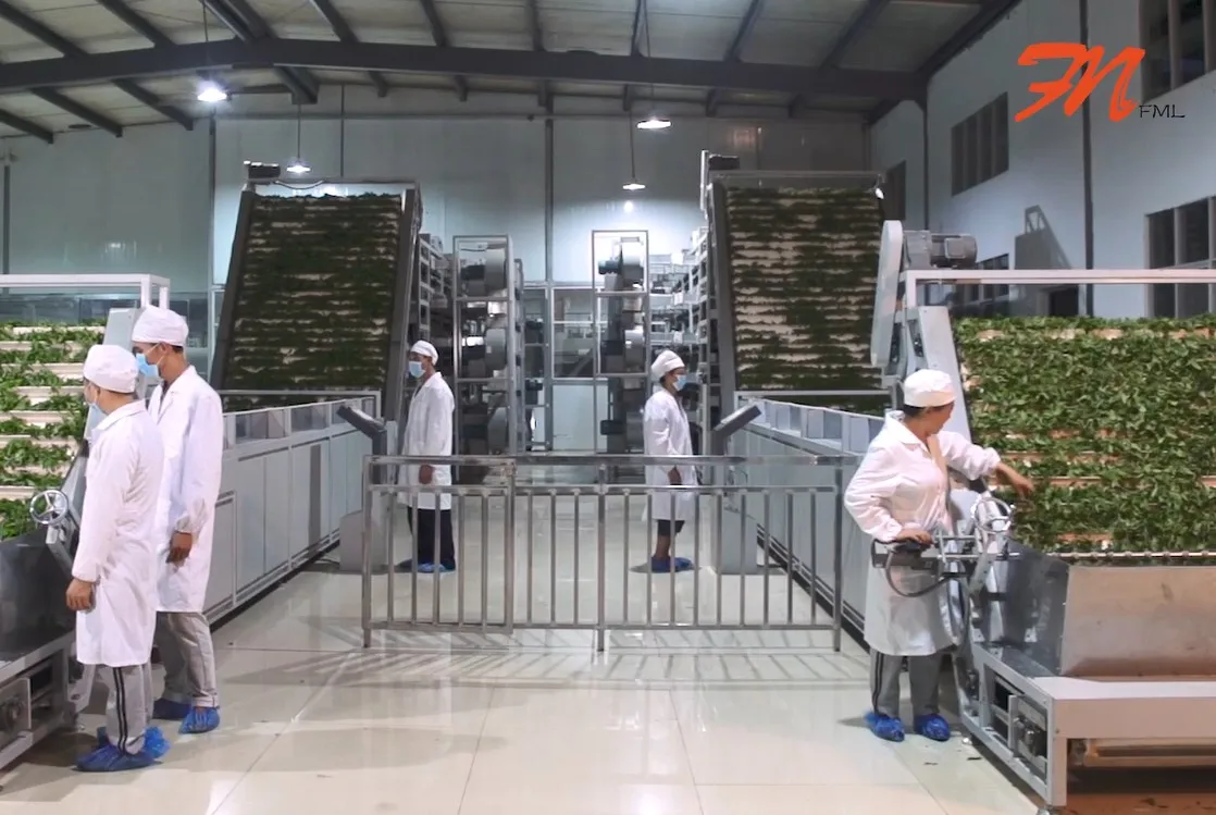 
Wholesale premium organic Fujian blooming flower tea 