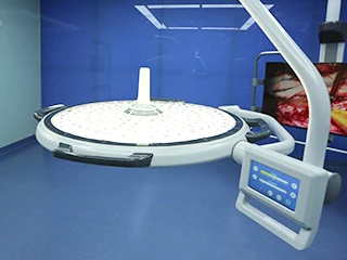 Double Dome Head Surgical Light Ceiling LED Operating Lamp for Operation Theatre Equipment