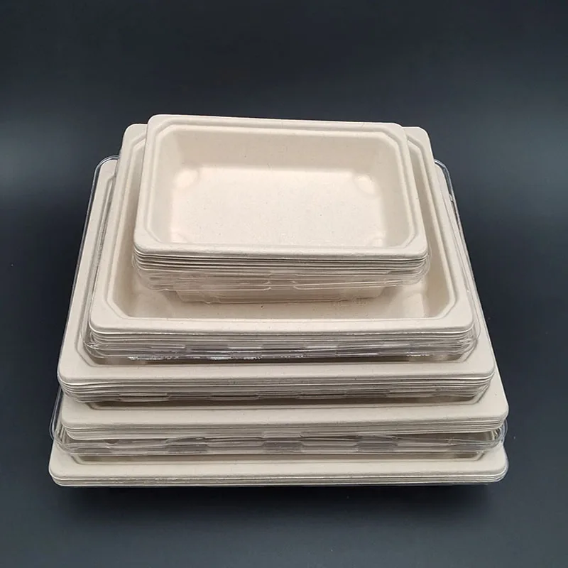 Hot Selling  biodegradable bagasse sugarcane sushi tray with lid