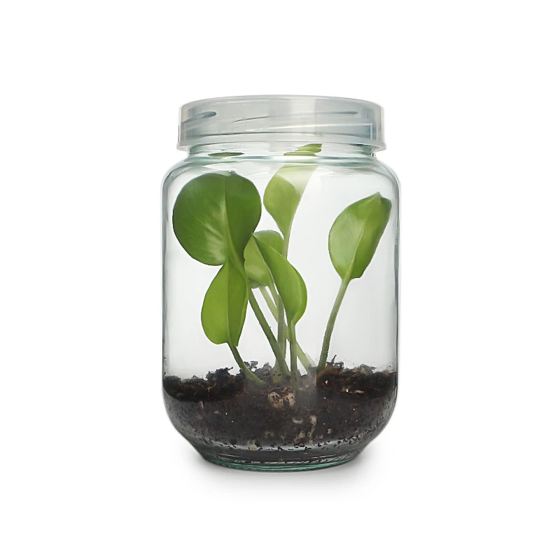 460ml 480ml 500ml glass plant tissue culture bottle with PET lid