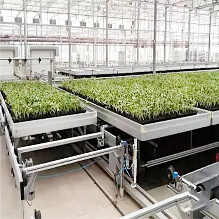 China wholesale websites garden flood table greenhouse system ebb and flow price