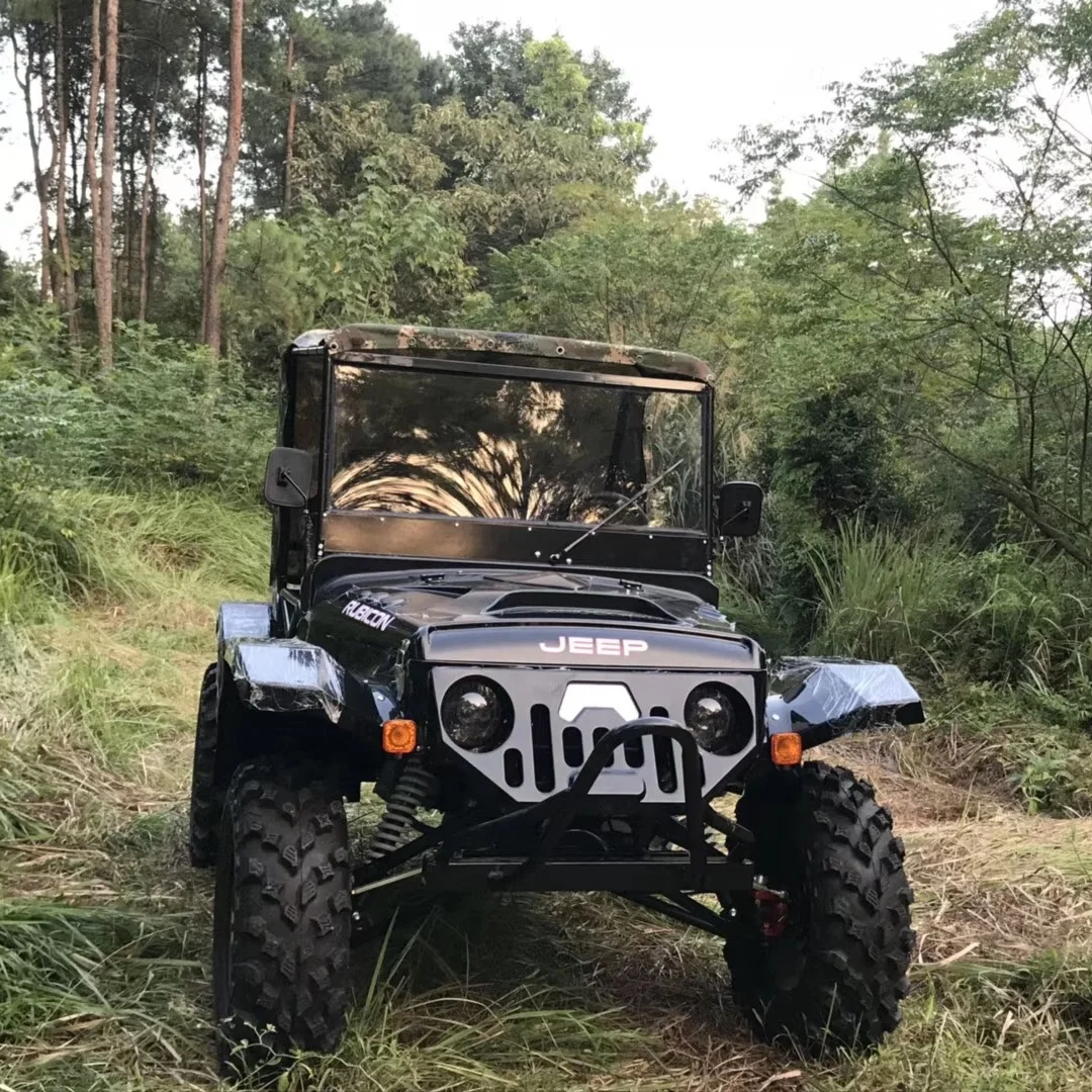 New Model Gasoline Fuel 300cc Mini Willys UTV With High Speed