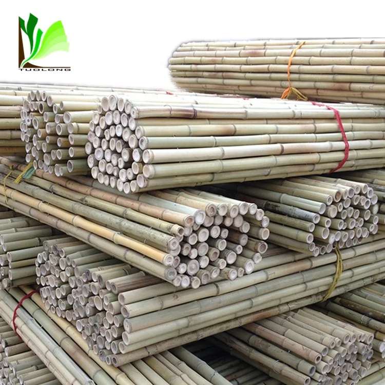 Natural Bamboo Fence/ High Quality Best Price/Colored Bamboo Fence