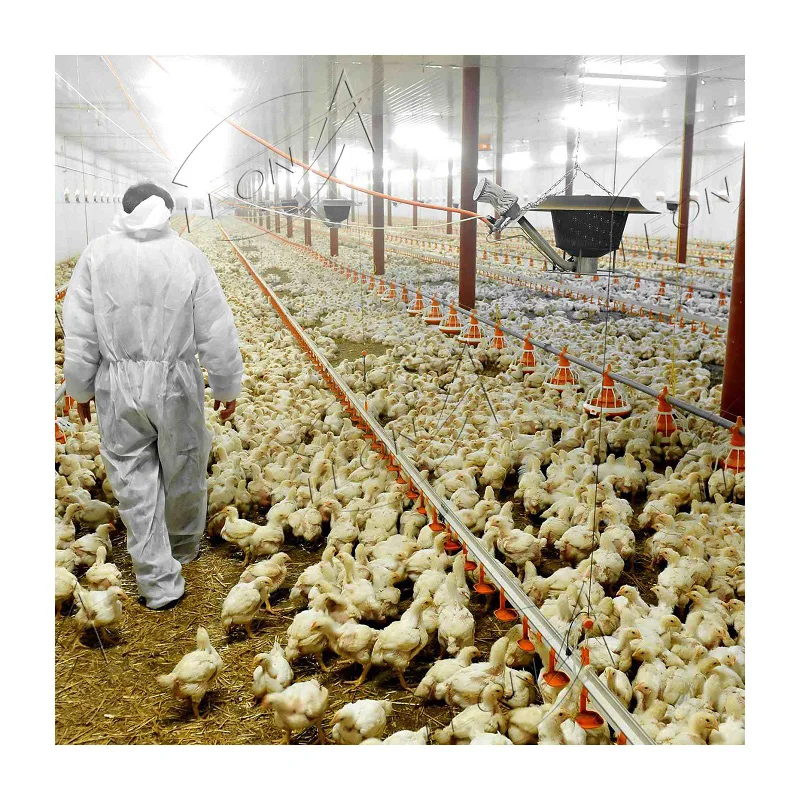 High quality automatic chicken farm system poultry equipment